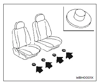 Nissan Ariya. Cleaning interior