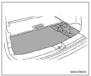 Nissan Ariya. Storage